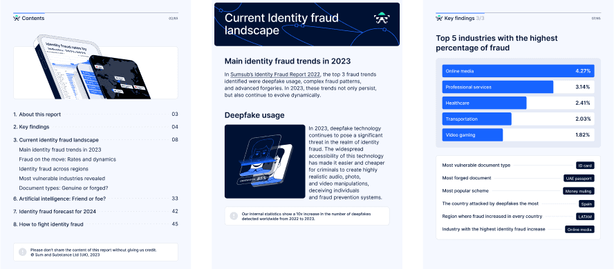 Identity Fraud Report 2023